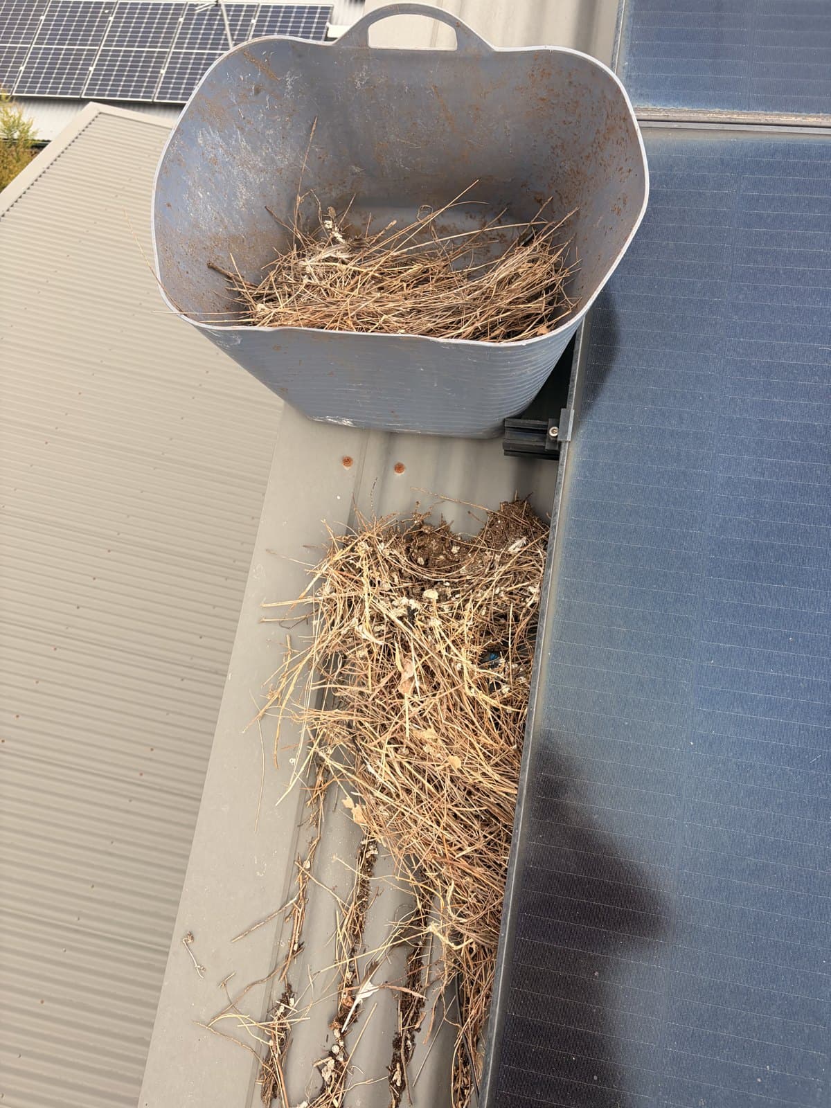 Solar Bird Proofing Co photo 1