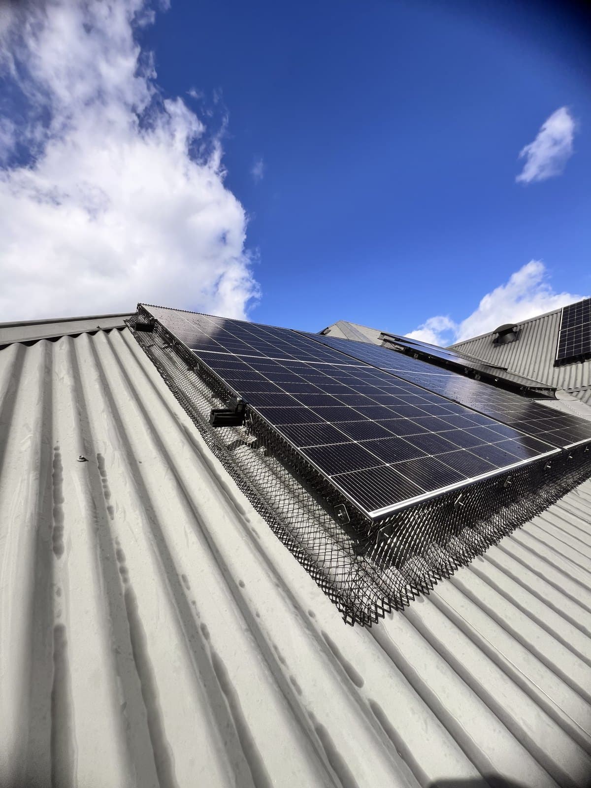 Solar Bird Proofing Co photo 3